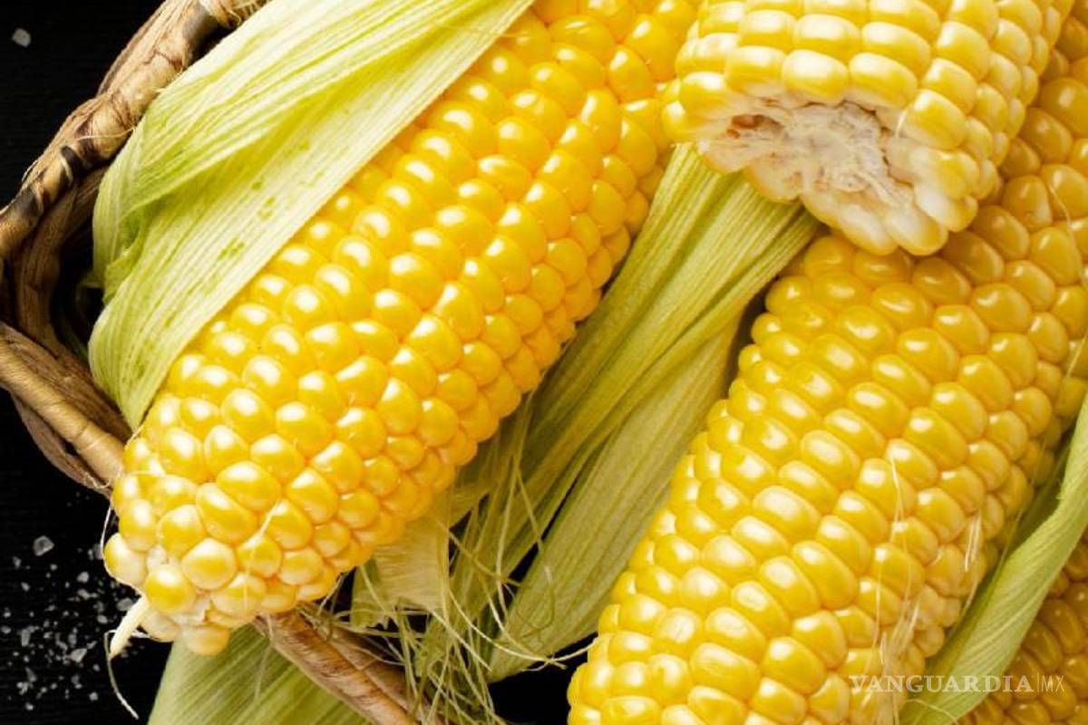 Respalda Canadá a EU en panel del T-MEC contra México por maíz transgénico