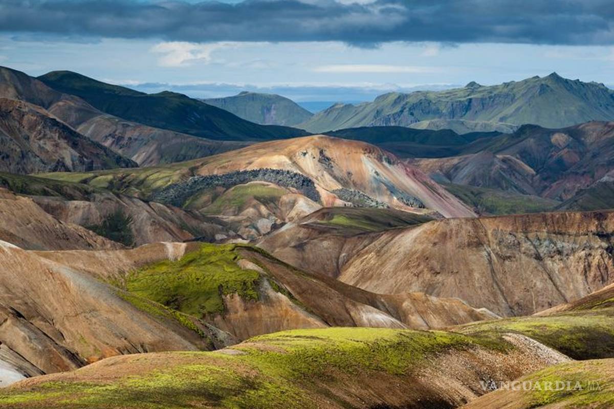 Islandia quiere recuperar sus bosques