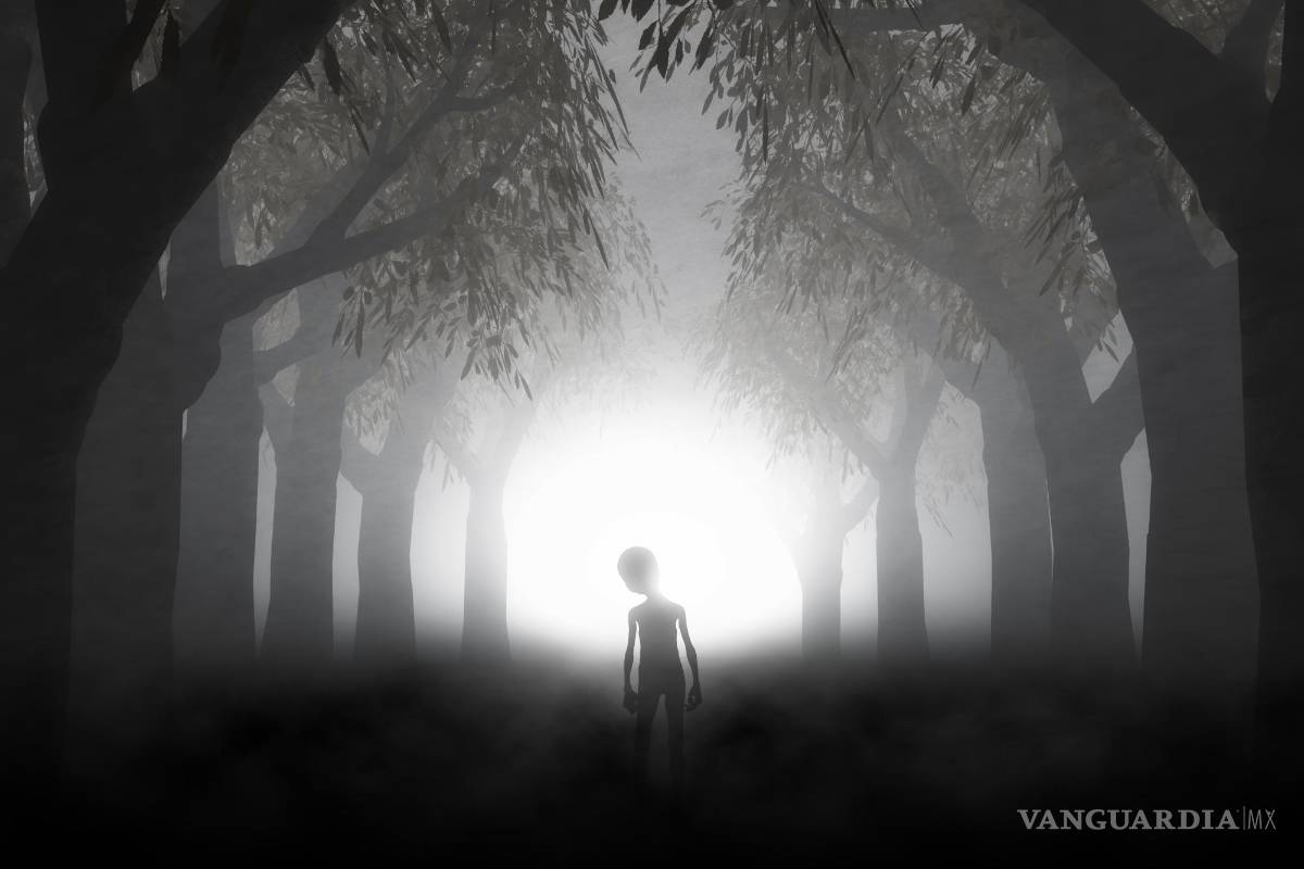 $!La Ecuación de Drake, fue concebida en 1961 por el radioastrónomo Frank Drake y se emplea para estimar la cantidad de civilizaciones en nuestra galaxia.