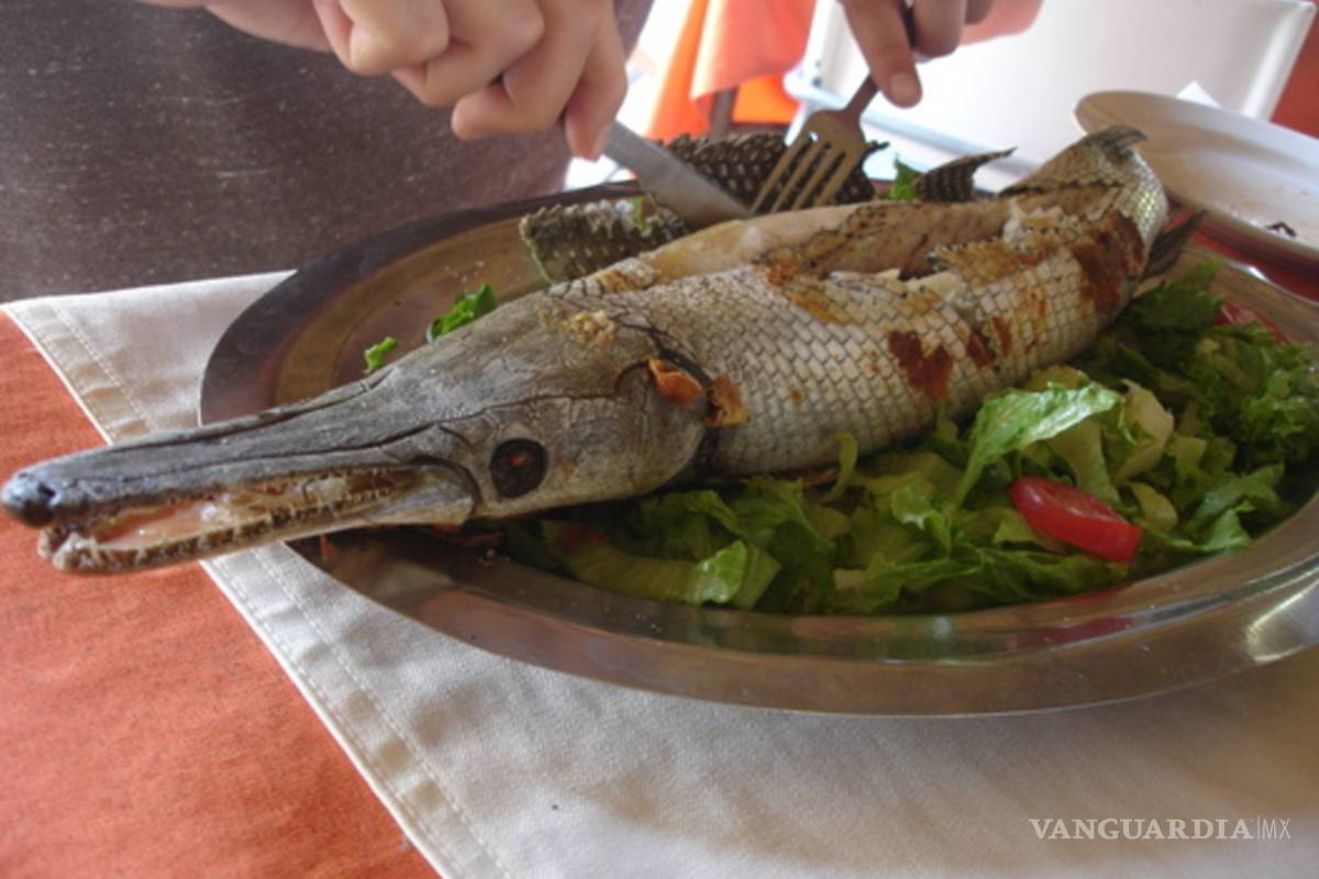 Margarita Zavala come pejelagarto en Tabasco