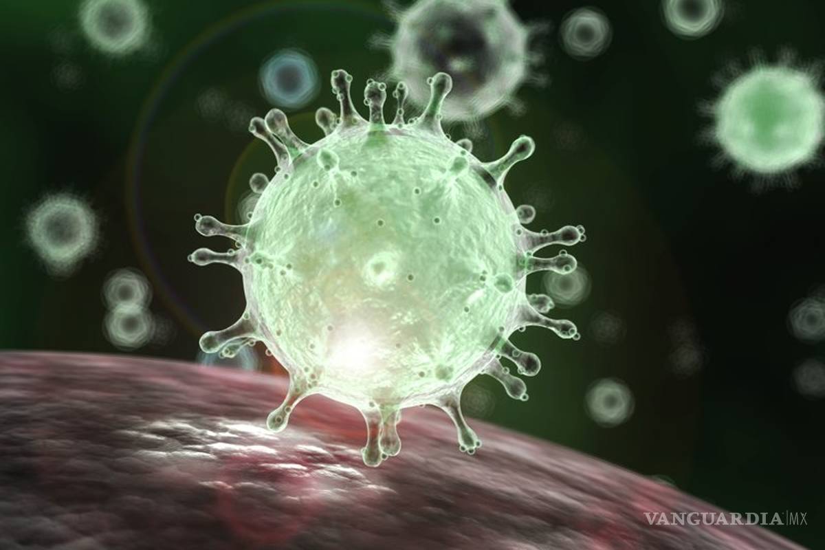 Científicos estiman que el coronavirus puede ingresar al cuerpo a través de los ojos