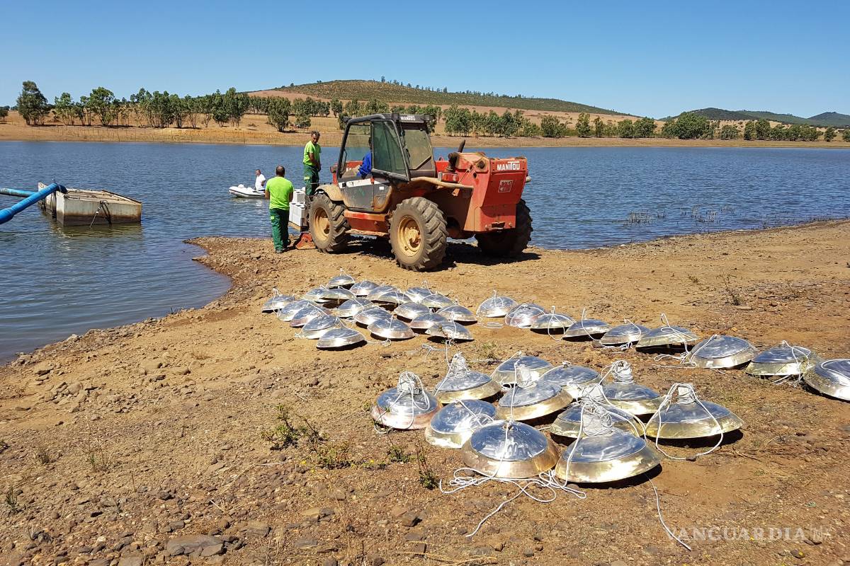 $!Agua más "fina" y de mayor rendimiento gracias a la nanotecnología