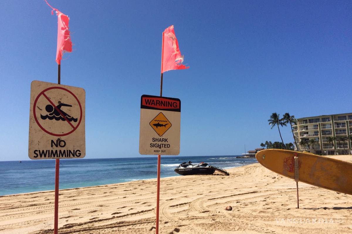Tiburón ataca y hiere a una mujer en Florida