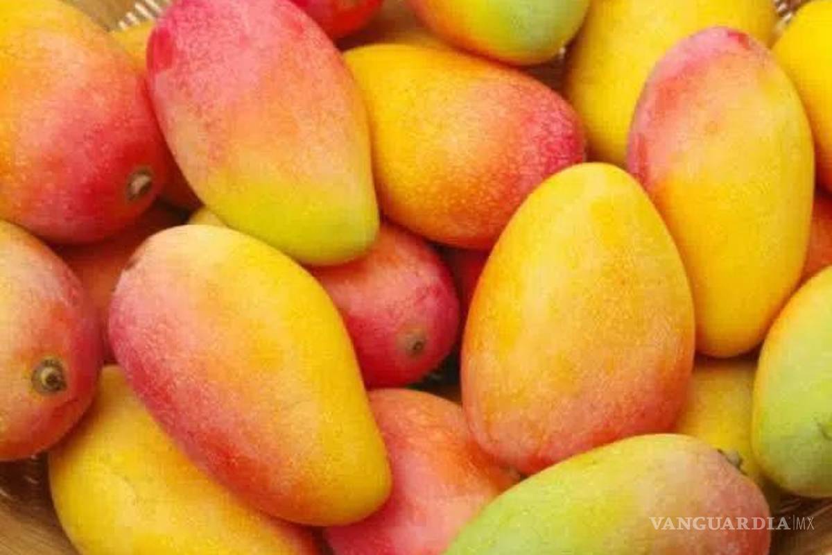 EU frenó también la importación del mango michoacano