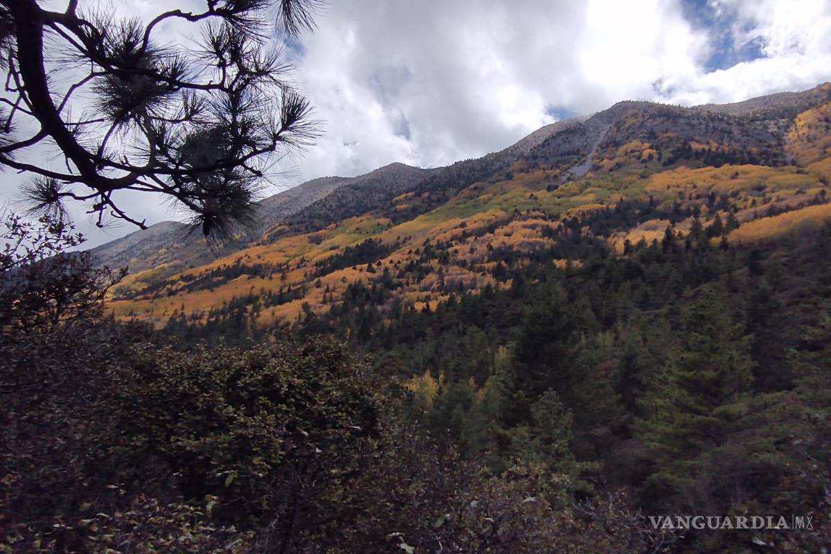 ¿Te gusta el senderismo en Coahuila? Esto debes saber antes de subir la montaña