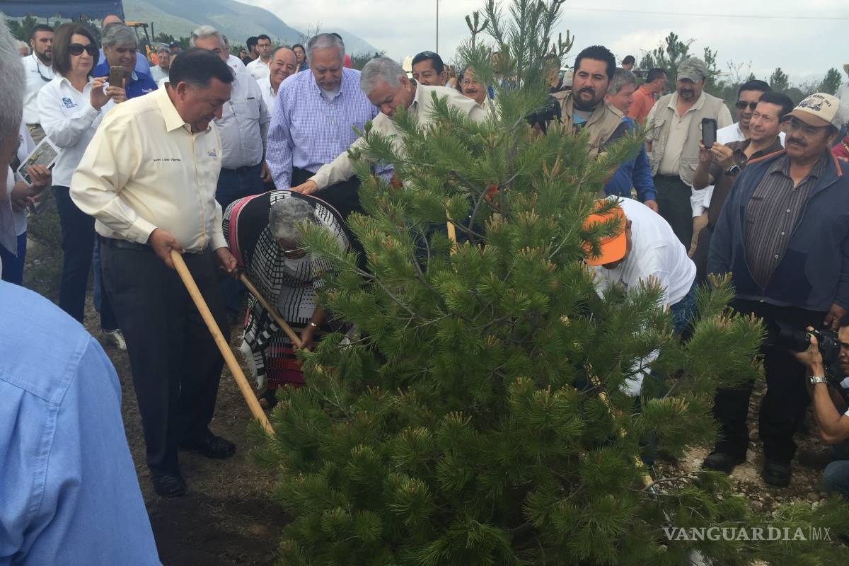 Comienza plantación del muro verde en Saltillo