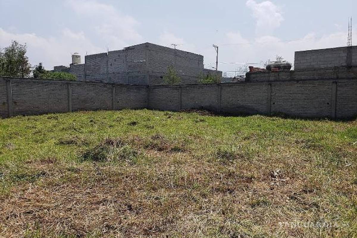 ¿Cuántos puntos necesitas para comprar un terreno con Infonavit?, esto y más que debes saber