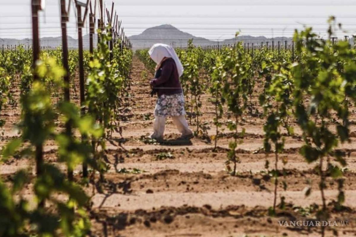 Ve CNDH nula intervención para prevenir trata en campos agrícolas