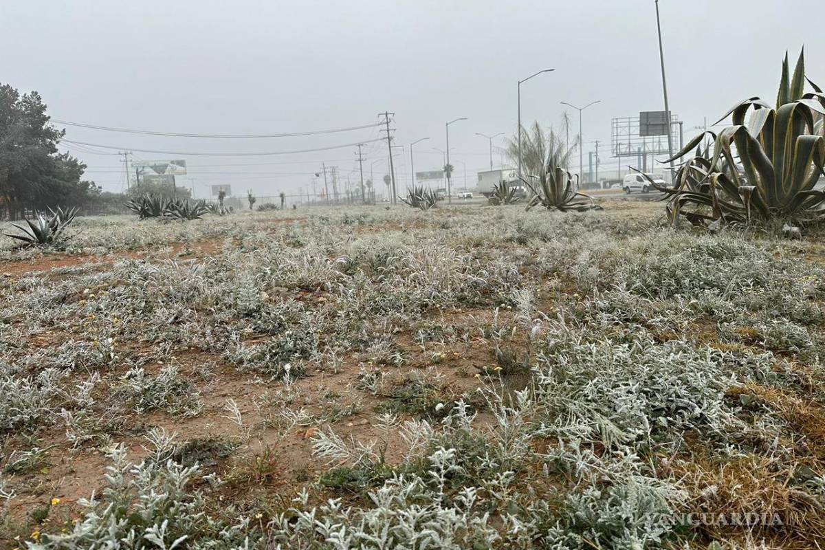 Frente frío número 27 azota Coahuila: recomendaciones para enfrentar las bajas temperaturas