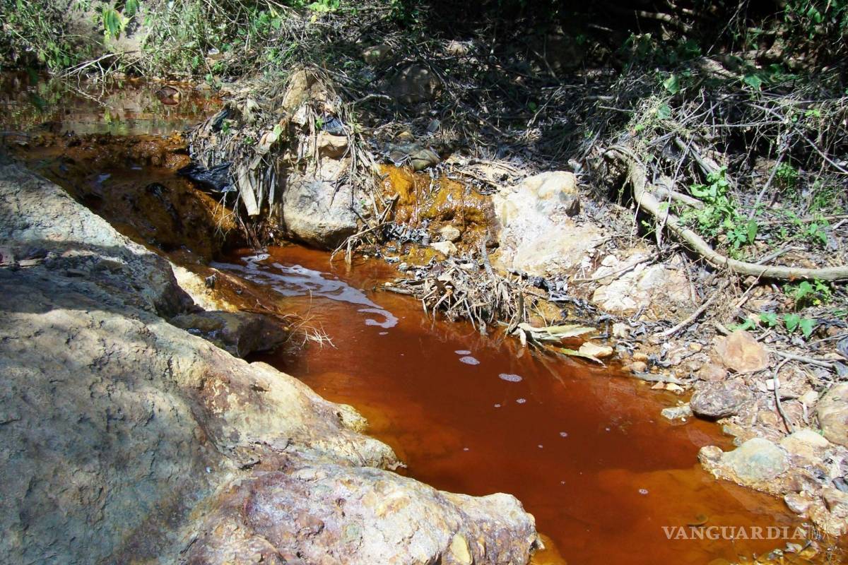 Temen ‘carpetazo’ por derrame tóxico en el río Sonora