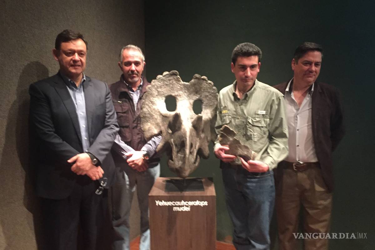 Presentan nueva especie de dinosaurio coahuilense