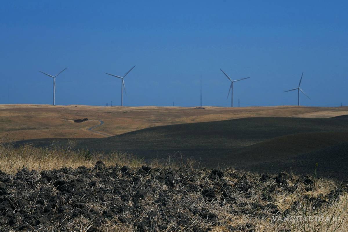 Así es como la misteriosa empresa estadounidense Flannery Associates pretende construir una ciudad desde cero