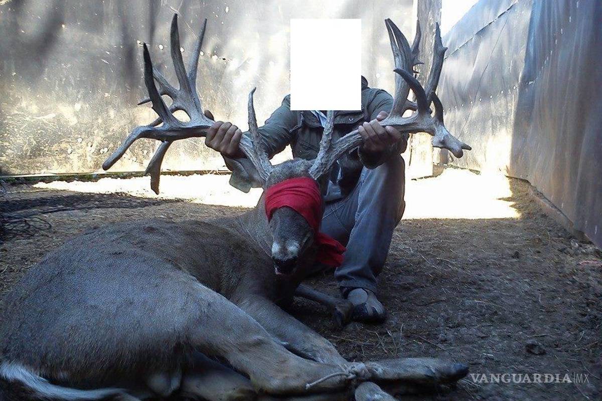 Zoológico La Pastora donó animales para cacería, aseguran activistas