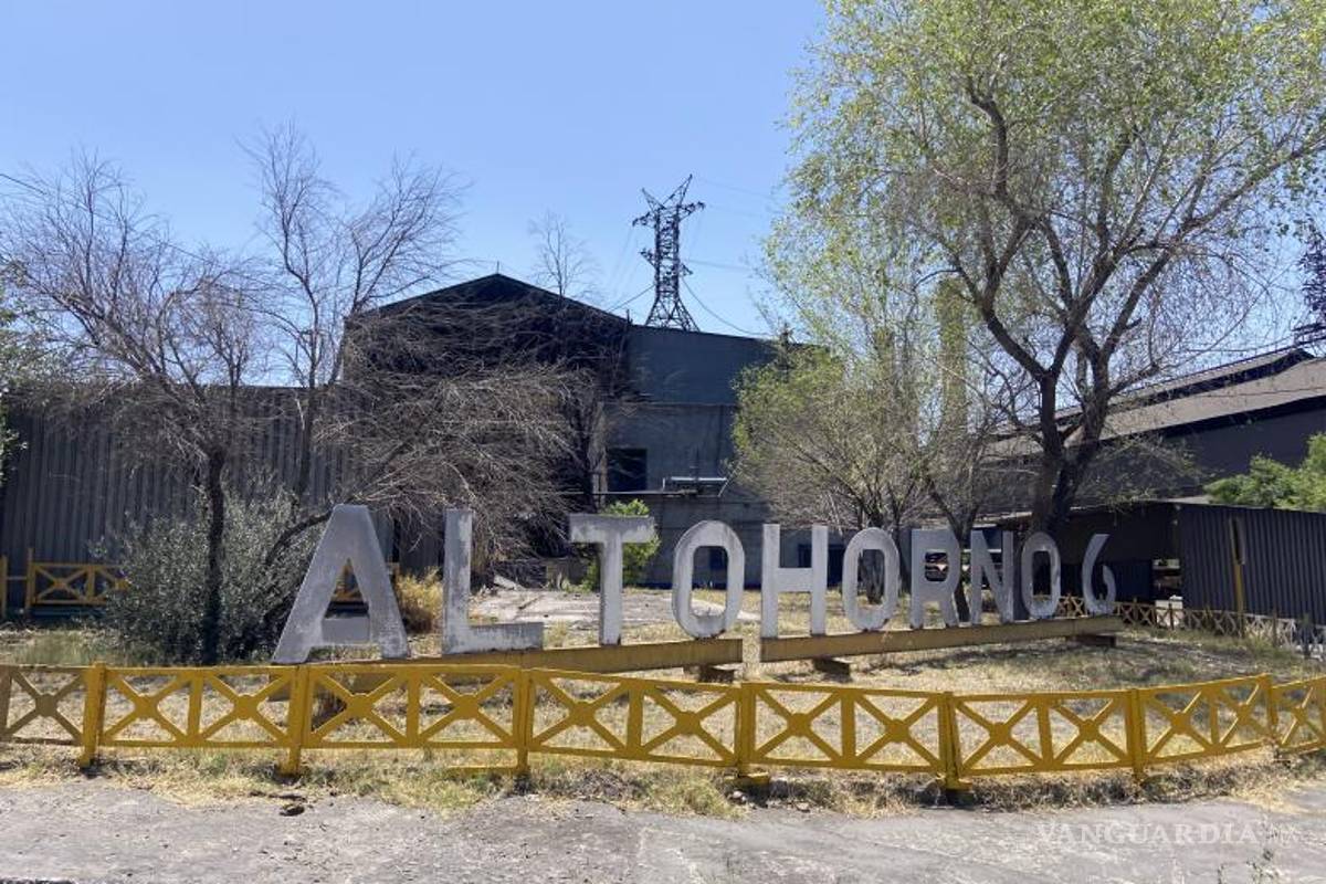 Napito propone crear una cooperativa, para el rescate de AHMSA