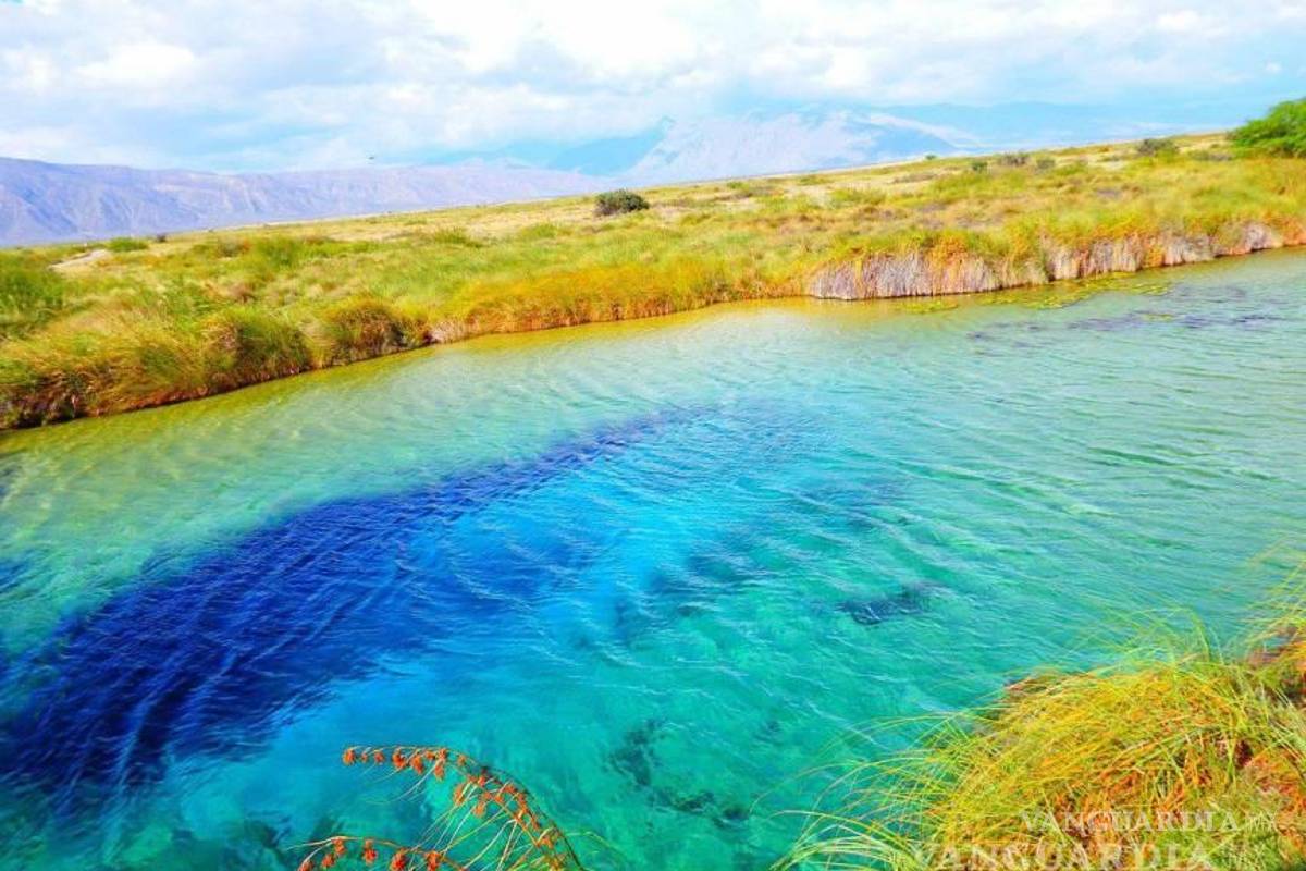 ¡Vamos con todo! Nominan a Coahuila en dos categorías de ‘Lo Mejor de México 2024’