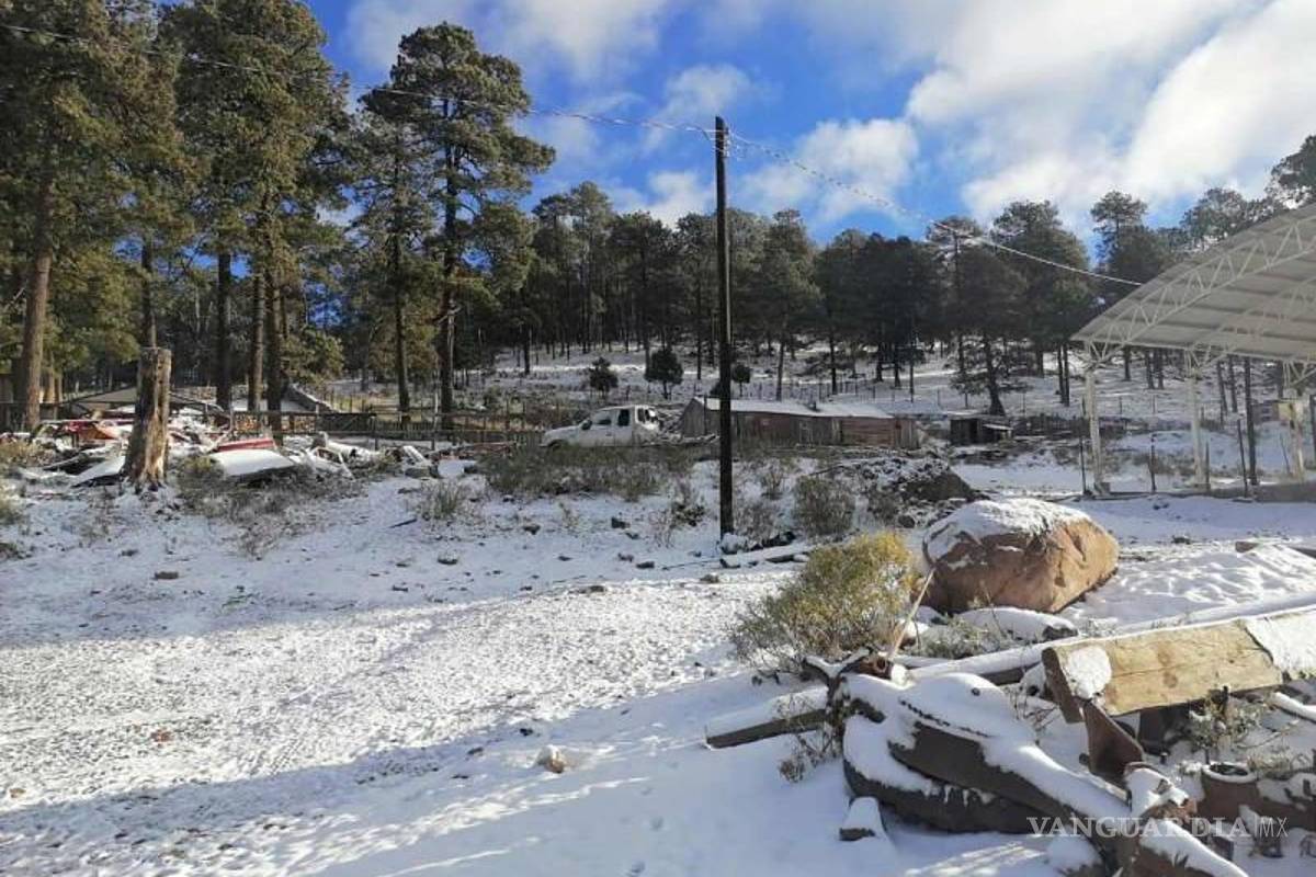 La Rosilla, Durango, registra 15 grados bajo cero
