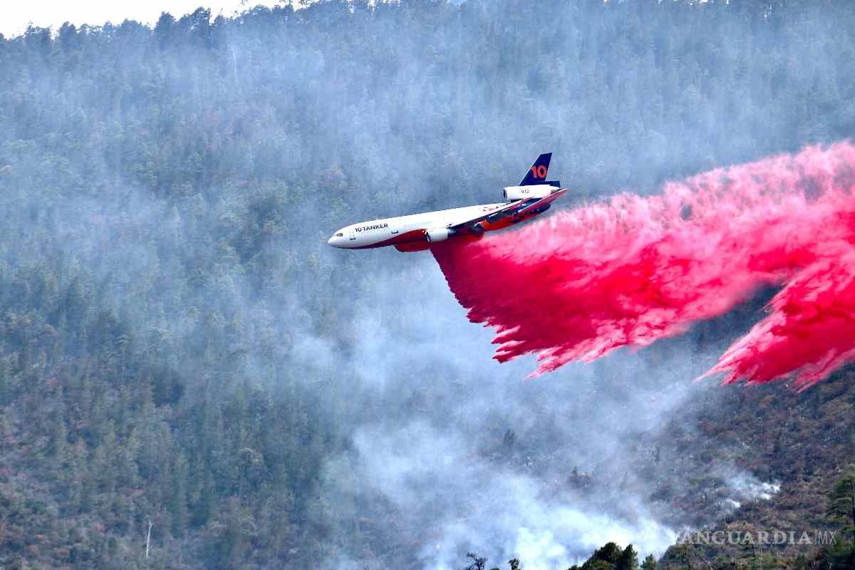 CONAFOR registra 77 incendios forestales activos al inicio de esta semana