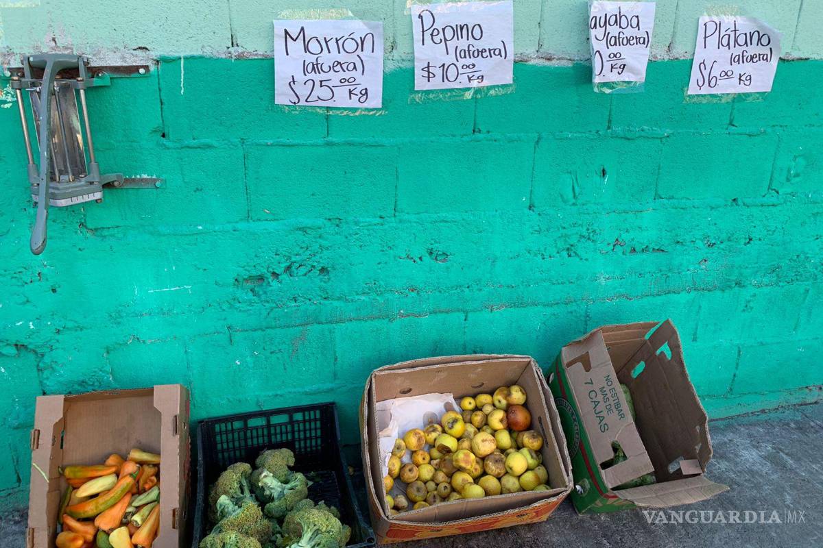 Familia saltillense alimenta a sus hijos con productos a punto de caducar