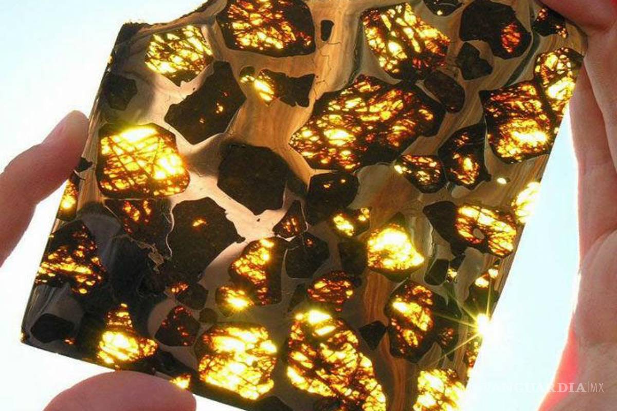 Especial negocio de venta de meteoritos en la CDMX