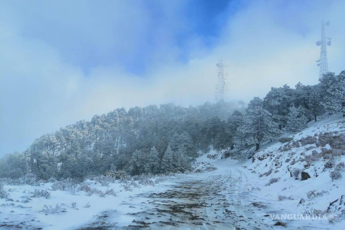 Nieve y aguanieve cubren al sur de Nuevo León; familia queda varada