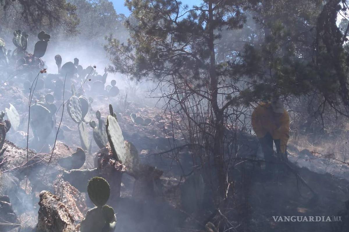Incendio consume 100 hectáreas de pastizal en El Tunal, en Arteaga; logran controlarlo