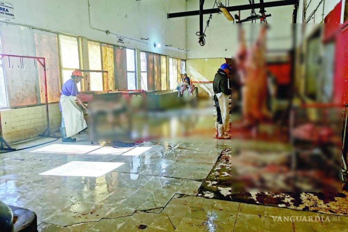 Planean reubicar Rastro Municipal de Acuña