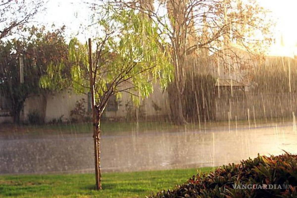 Clima de Saltillo y Monterrey; pronostican sábado soleado, domingo con lluvia y un lunes cálido frente a monzón mexicano
