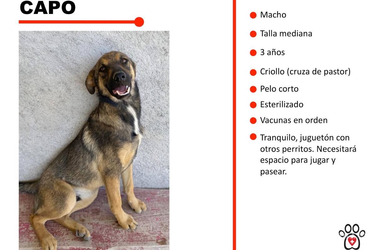 Lo que hay detrás del aparador