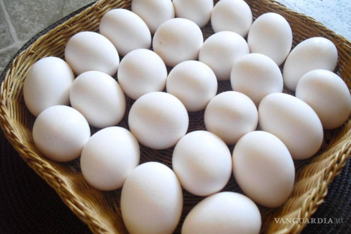 Precio del huevo en 2019 fue el más alto en los últimos 7 años