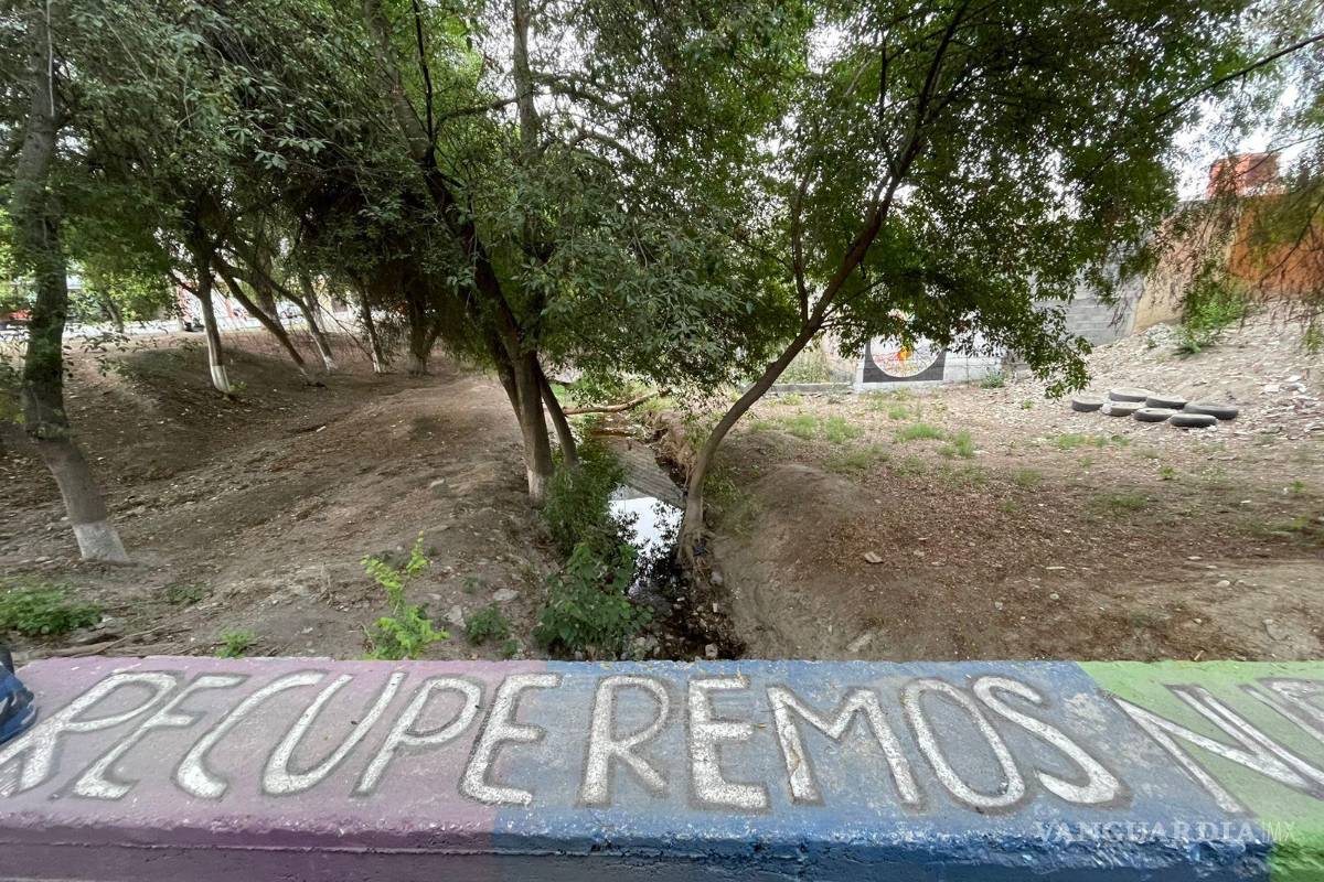 Alto grado de contaminación del Pozo Azul vuelve letal entorno para Carpita de Saltillo