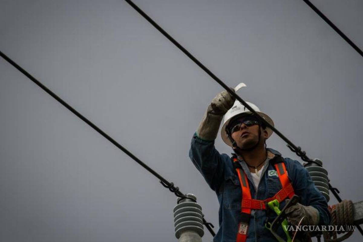 Sabotajes y protestas detienen a los siete gasoductos