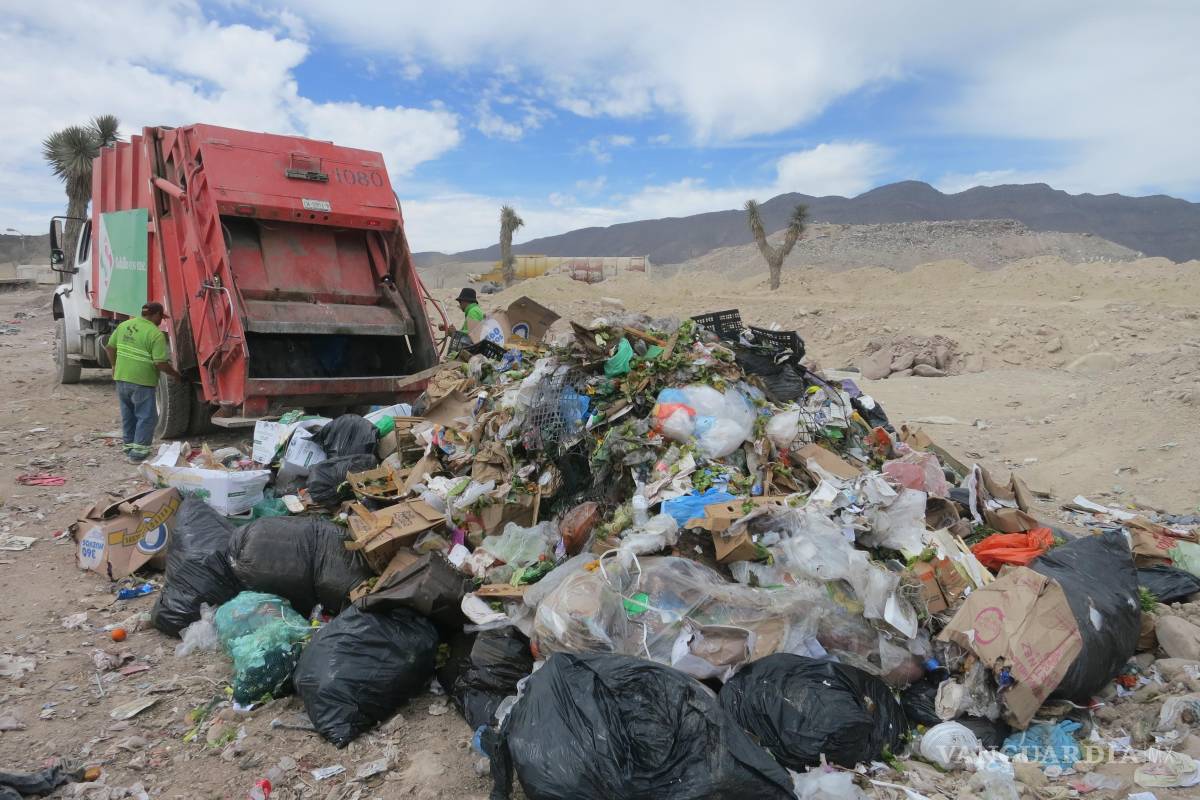 De basura a energía: investigadores (entre ellos una saltillense), desarrollan proceso de fermentación sostenible