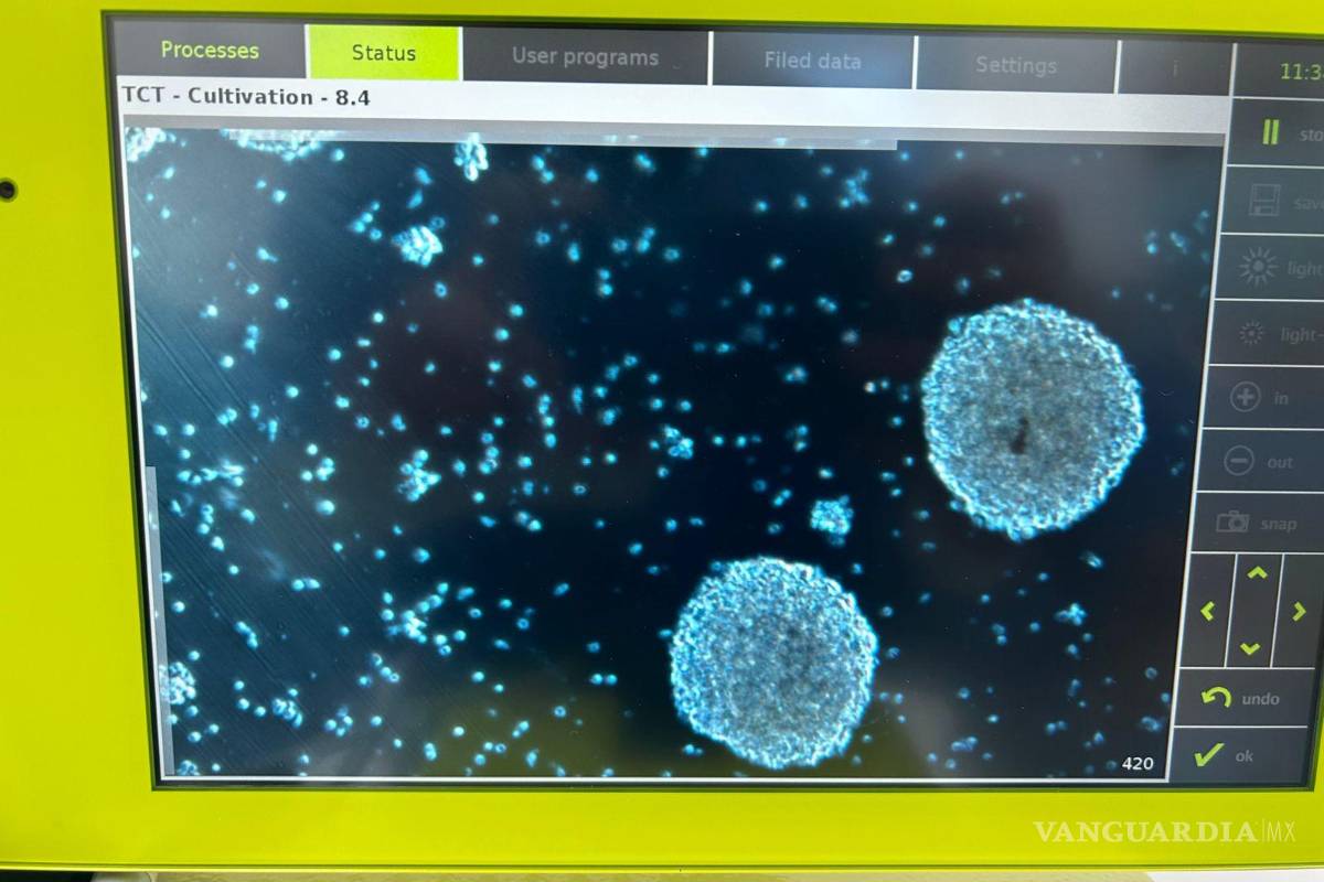 Nominan a científico de Coahuila a premio internacional por su contribución en investigación contra el cáncer