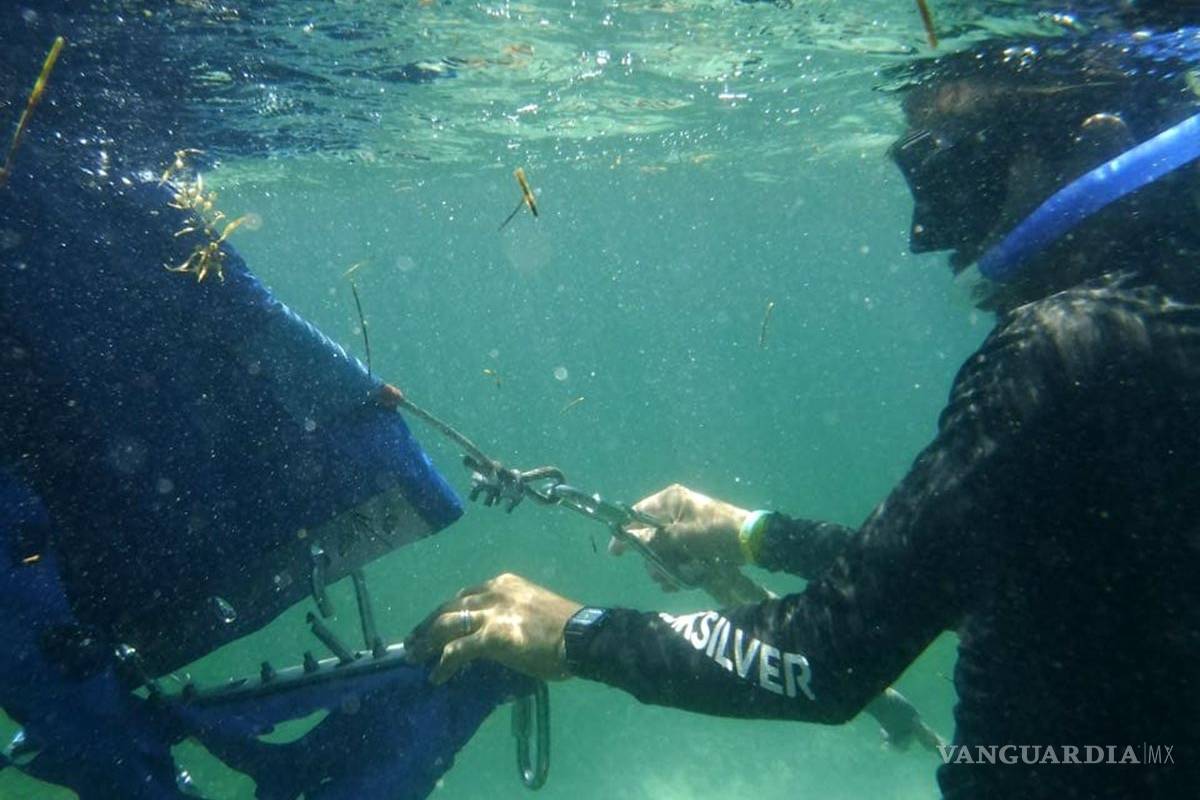 Instalan barreras en Quintana Roo para evitar que sargazo llegue a la playa