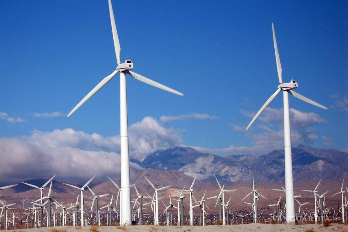 Empresarios de energía eólica y solar rechazan reforma eléctrica de AMLO