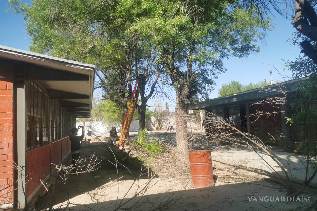 Promueven activistas de Piedras Negras combate al deterioro ecológico, debe ser desde aulas