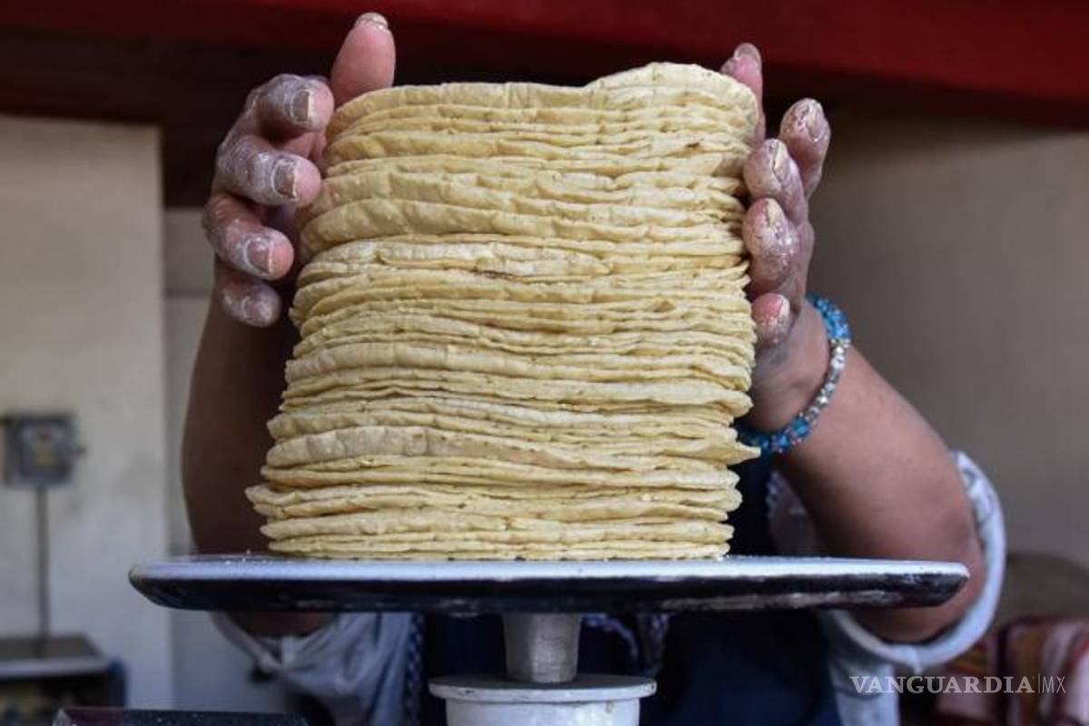 ¡A 30 pesos!... Pronostican que kilo de tortilla aumentará a finales de 2022