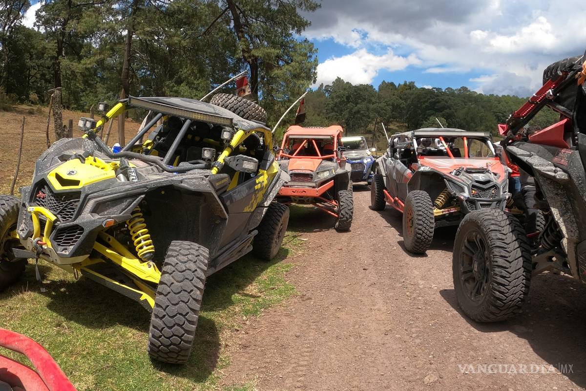 ¿Qué es el Vallartazo? Viaje donde secuestraron a empresarios