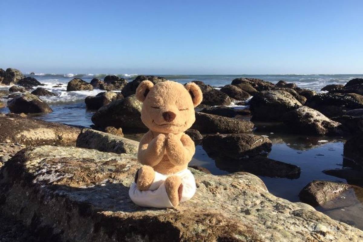 Meddy Teddy, el peluche que enseña a niños a practicar yoga