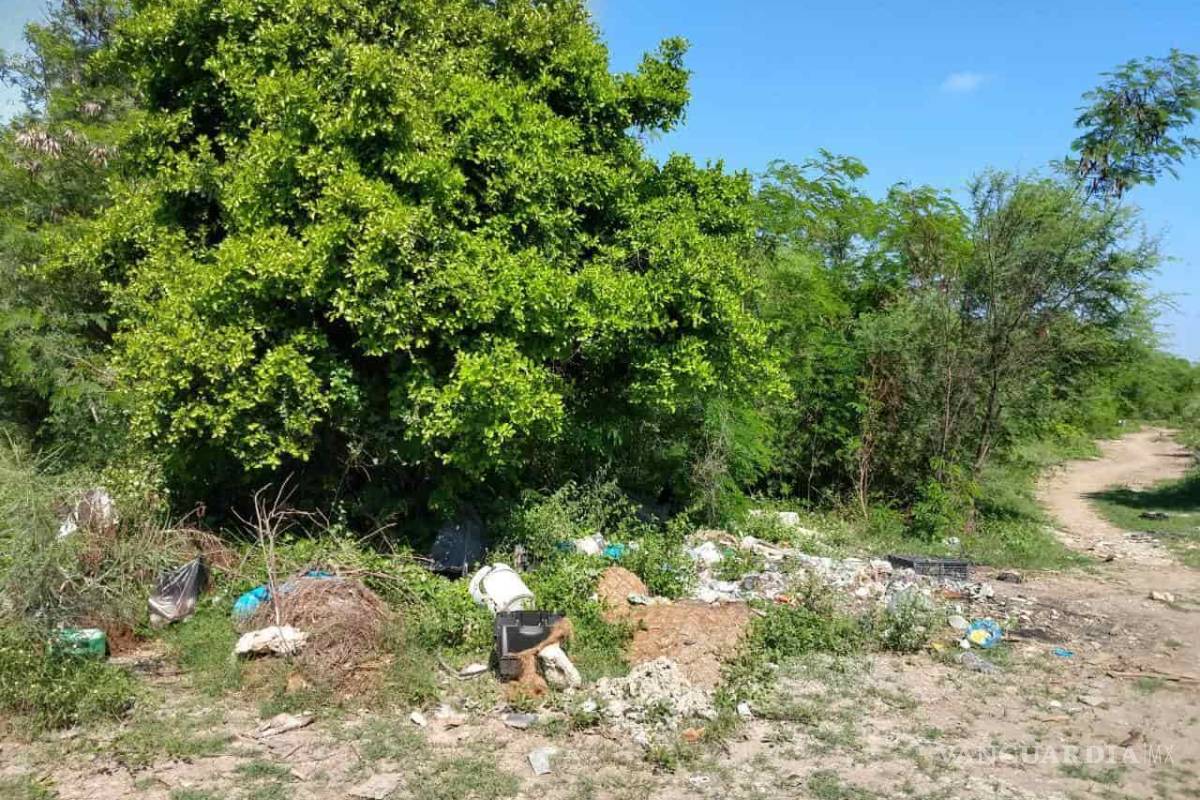 Jovencita de 14 años dijo que había sido violada por encapuchados, todo fue un invento