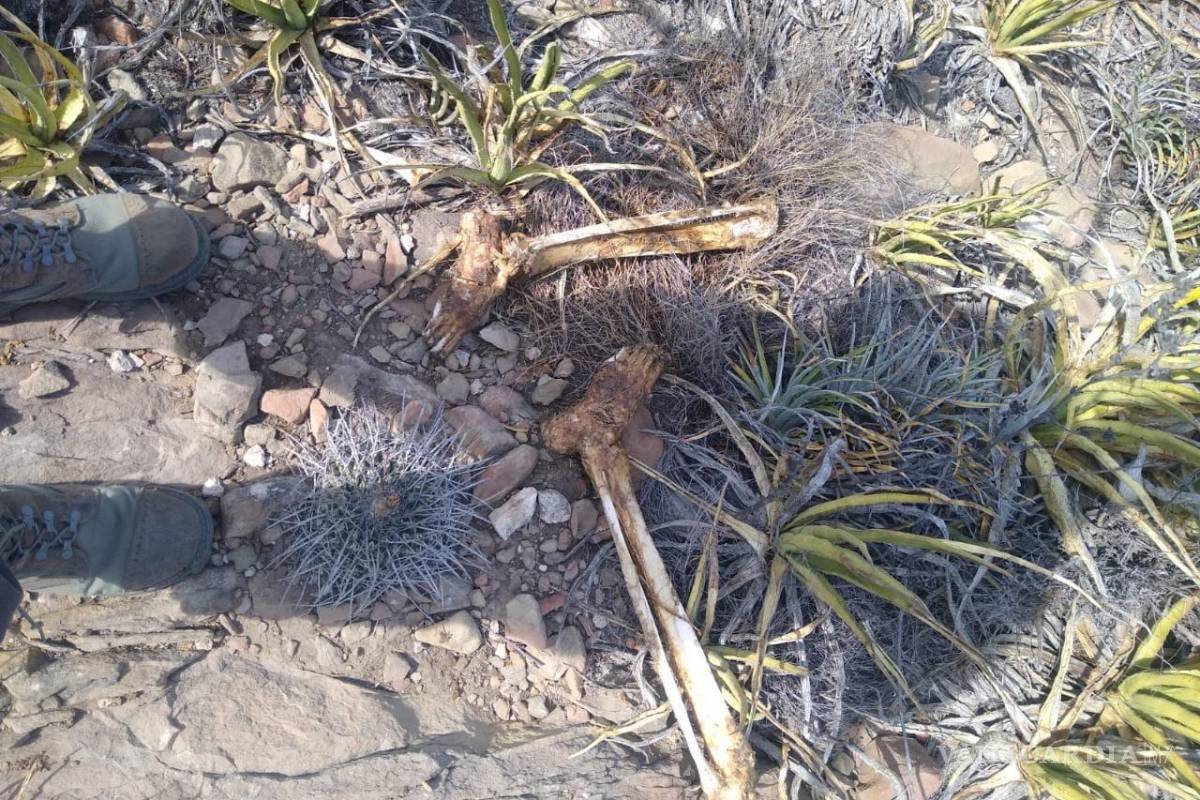 Localizan restos humanos en libramiento de Ramos Arizpe