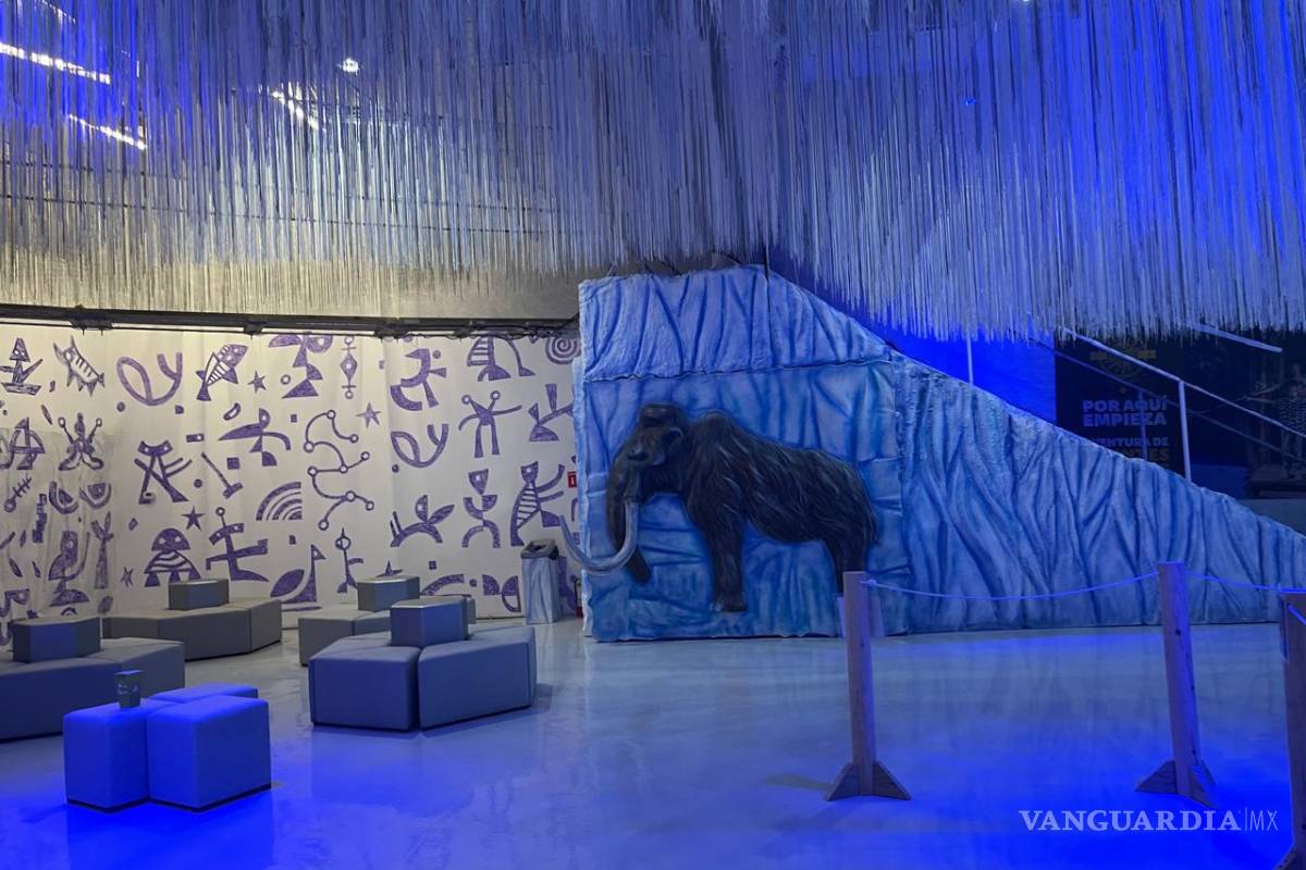 ¿Listo para la aventura? Conoce Sealand, el primer acuario interactivo en Monterrey