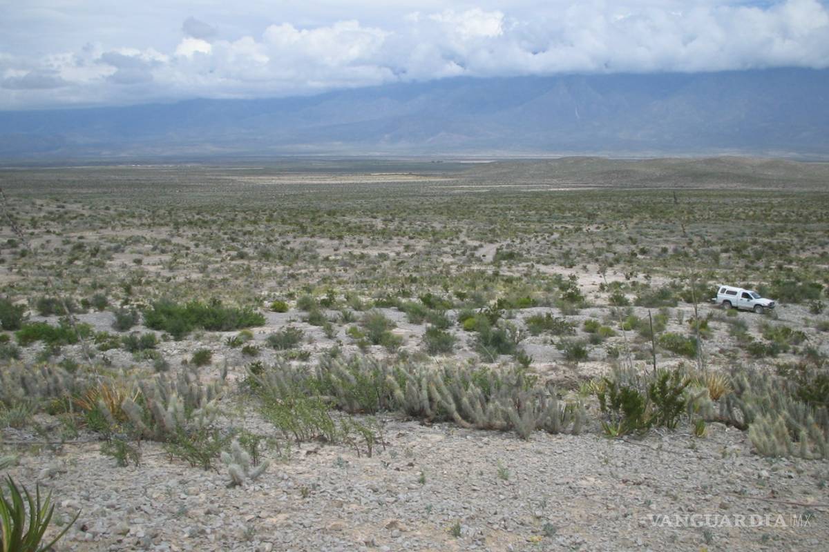 Entre 70 y 75% del planeta padece algún grado de desertificación