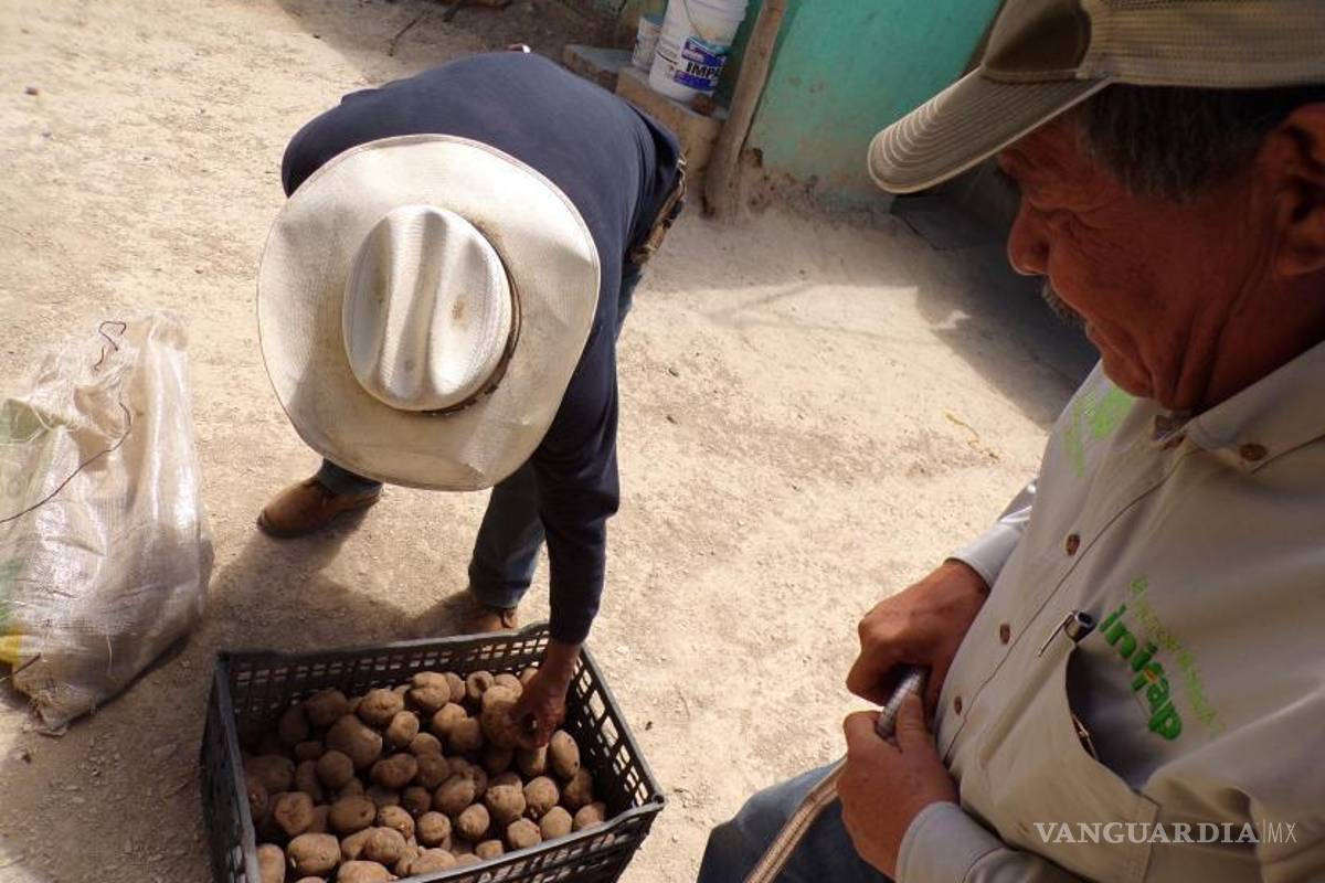 $!El frío extremo y la ausencia de lluvias ha provocado que las cosechas de maíz, avena, trigo o manzana, no prosperen.