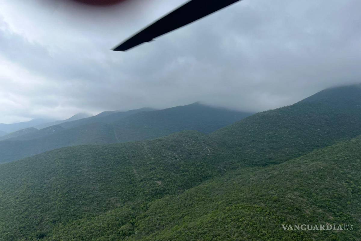 Liquidan al 100% incendio forestal en Villaldama, Nuevo León