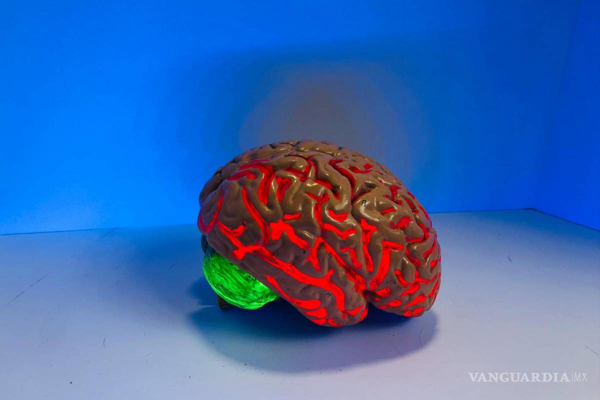 ¿El calor puede afectar al cerebro?