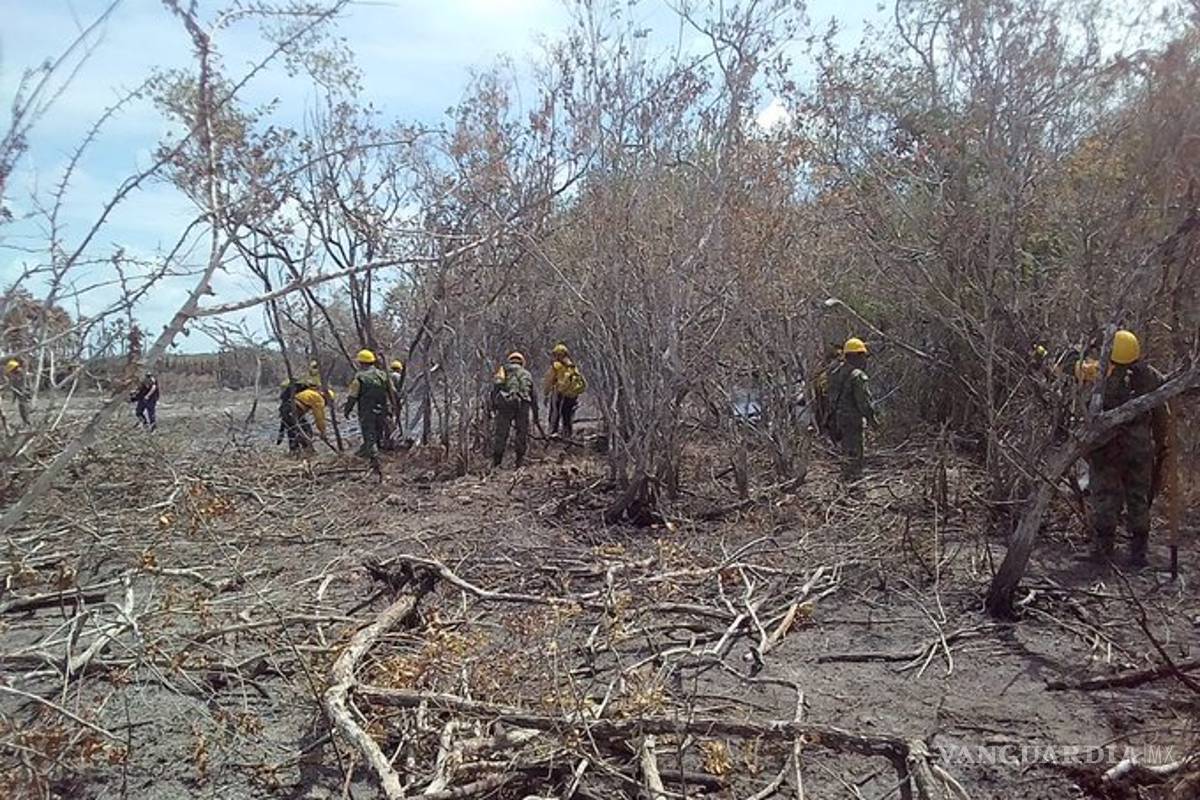 Incendio en reserva Sian Ka'an en Quintana Roo, controlado al 80%