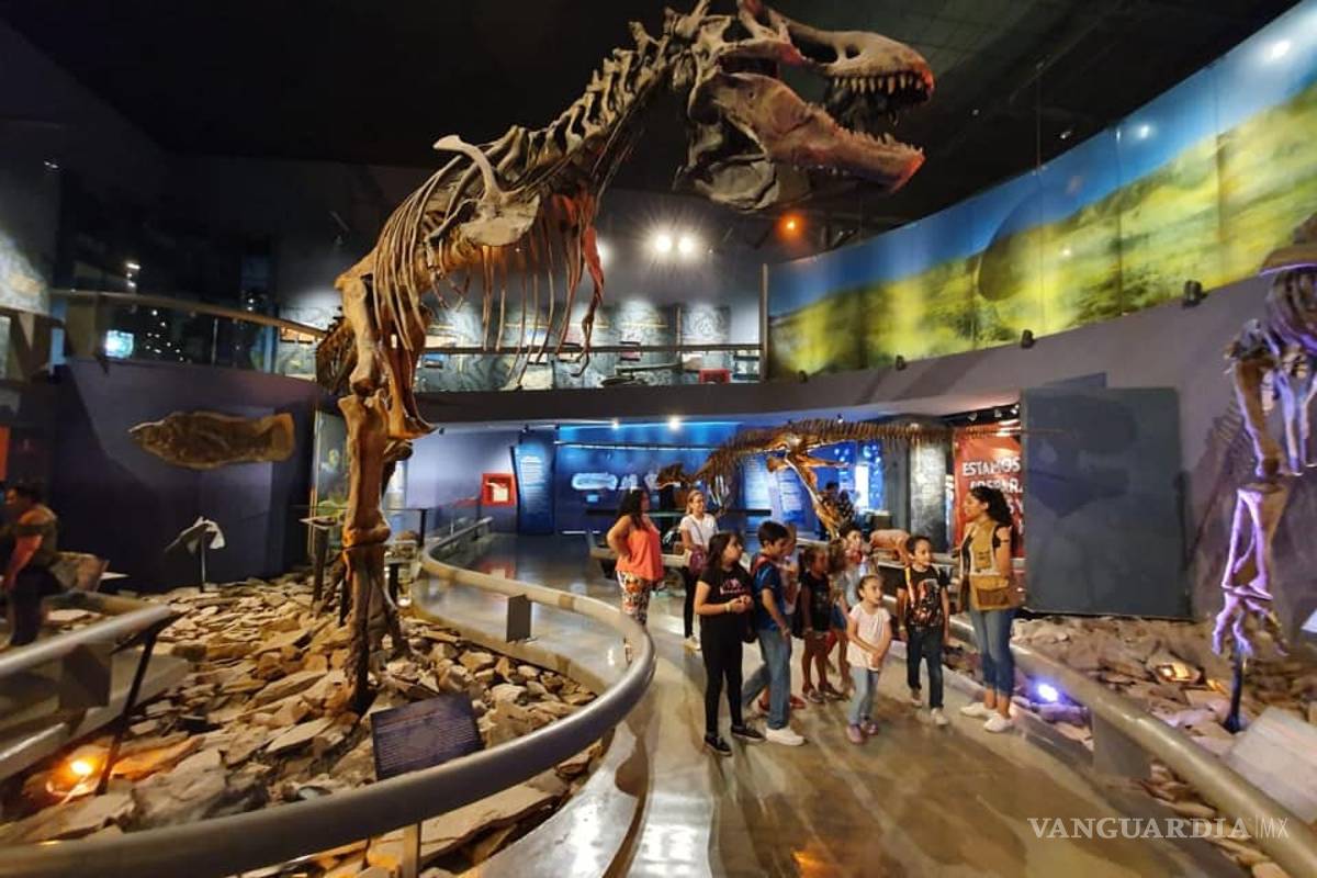 Tendrá Museo del Desierto de Saltillo curso de Verano en línea 'Tu Museo en Casa'