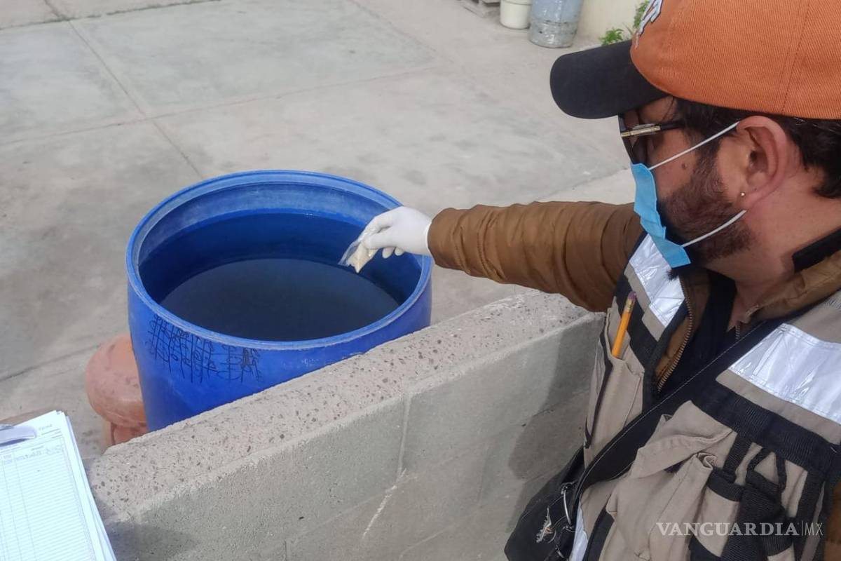 Retoman acciones contra vectores en colonias de Torreón