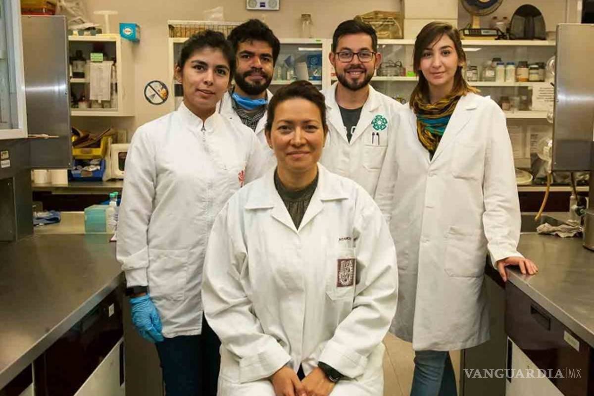 Científicos del IPN eliminan al 100% virus del papiloma humano en 29 mujeres